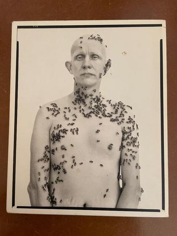 Richard Avedon PORTRAITS beschikbaar voor biedingen