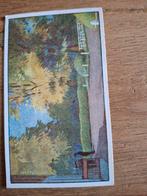 Verkade Album Friesland No. 85 - Oosterwolde, Antiek en Kunst, Curiosa en Brocante, Ophalen of Verzenden