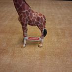 Schleich Giraffe Figuur, Ophalen of Verzenden, Nieuw