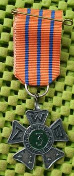 Medaille: Avondvierdaagse NWB :  3. Nederlandse wandel bond, Ophalen of Verzenden, Overige materialen, Nederland