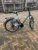 Gazelle eclips, 56 cm of meer, Ophalen of Verzenden, Zo goed als nieuw, Gazelle