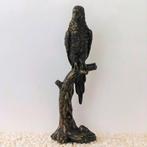 Papegaai - Uil, Ganzen en nog veel meer Vogels in brons, Antiek en Kunst