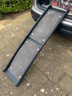 Loop plank voor honden, Dieren en Toebehoren, Ophalen of Verzenden, Nieuw