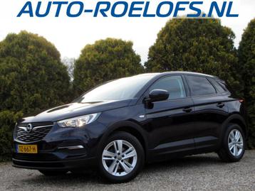 Opel Grandland X 1.2 Turbo Online Edition *Trekhaak*Navi* beschikbaar voor biedingen