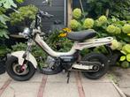 Tomos Youngst’r 2010 met blauw snorkenteken., Ophalen, Gebruikt, Overige modellen, 49 cc