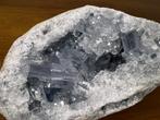 Celestien cluster (6) met prachtige kristallen, museum stuk., Ophalen of Verzenden, Mineraal