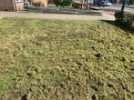 Verticuteer machine te huur, Tuin en Terras, Ophalen, Nieuw, Benzine
