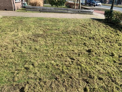 Verticuteer machine te huur, Tuin en Terras, Verticuteermachines, Nieuw, Benzine, Ophalen