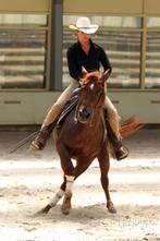 Western trainingen (WRAN trainer), Diensten en Vakmensen, Dieren | Paarden | Verzorging, Oppas en Les, Paardrijles of Ponykampen