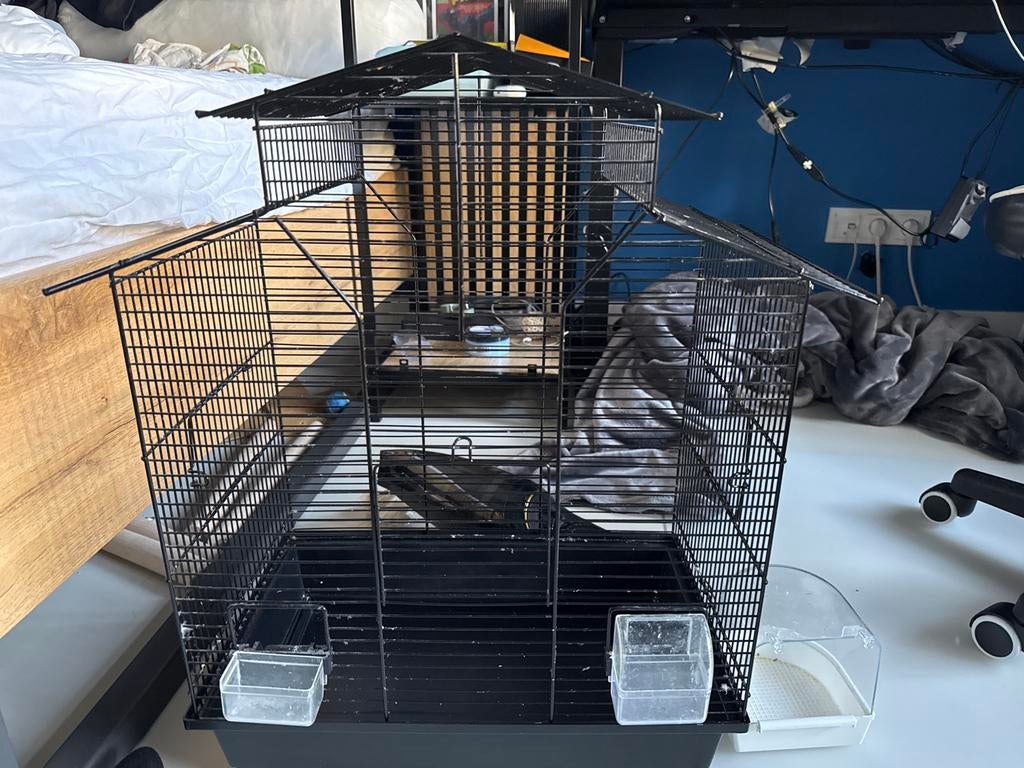 Vogelkooi te koop, Dieren en Toebehoren, Vogels | Hokken en Kooien, Ophalen of Verzenden, Zo goed als nieuw, Metaal, Vogelkooi