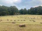 Hooi biologisch hooi natuurhooi hooibaal paardenhooi., Verzenden, Vee