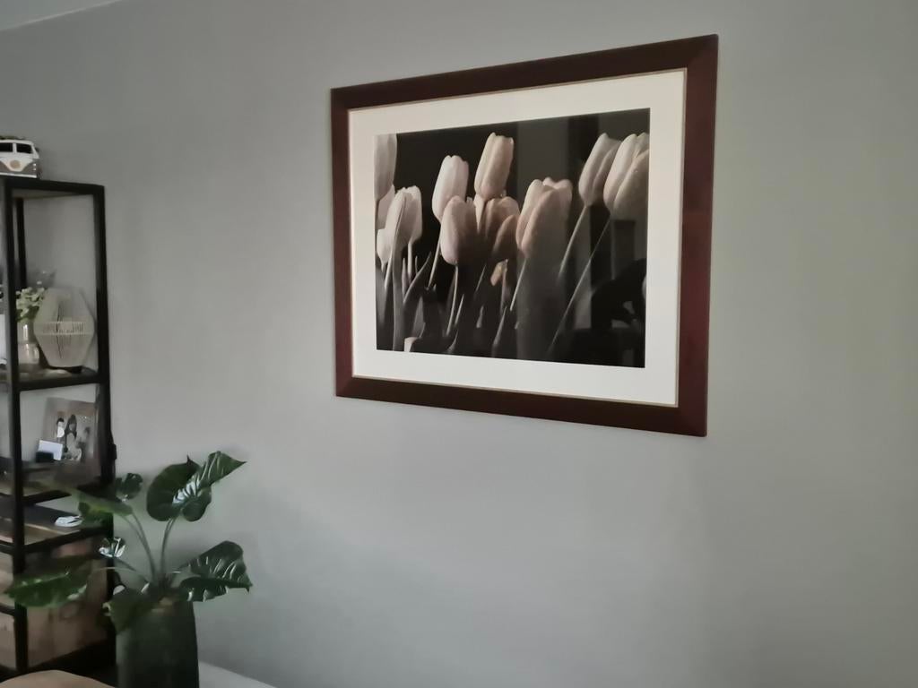 Schilderij, Ophalen, Hout, Minder dan 50 cm