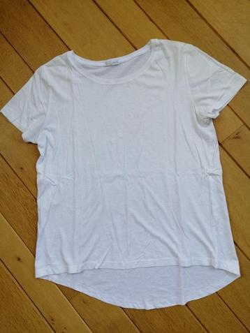 ZARA Collection W&B t -shirt wit maat M - nieuw -