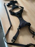 Honden tuig met riem, Dieren en Toebehoren, Ophalen of Verzenden, Zo goed als nieuw