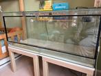 Terrarium 120 x 50 x 50, Dieren en Toebehoren, Reptielen en Amfibieën | Toebehoren, Ophalen, Gebruikt, Terrarium of Paludarium