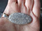 206/ verzilverde fossiel hanger, Overige materialen, Nieuw, Ophalen of Verzenden, Met edelsteen