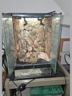 Paludarium/terrarium, Dieren en Toebehoren, Ophalen, Leeg aquarium