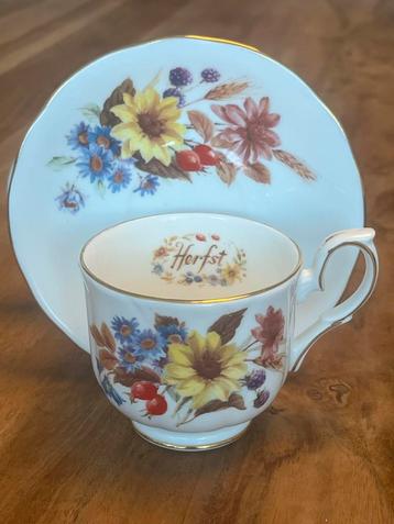 Duchess Herfst Kop en Schotel - Vintage Bone China beschikbaar voor biedingen