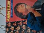 Andre hazes gewoon Andre vinyl, Ophalen of Verzenden, Zo goed als nieuw, Overige formaten, Levenslied of Smartlap