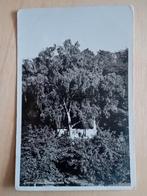 Ansichtkaart Oosterbeek, Ophalen of Verzenden, Gelderland