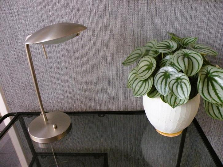 Mexlite tafellamp/bureaulamp geborsteld roestvrijstaal, Huis en Inrichting, Lampen | Tafellampen, Zo goed als nieuw, Minder dan 50 cm