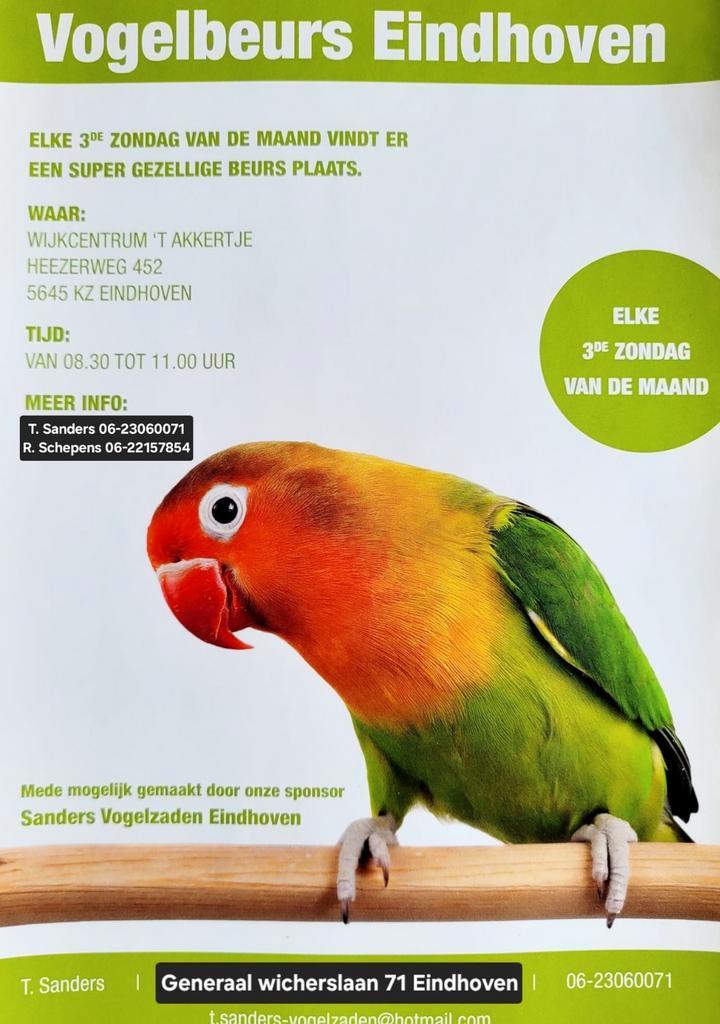 Vogelbeurs Eindhoven 3e zondag van de maand, Dieren en Toebehoren, Vogels | Overige Vogels
