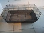 Konijnen- of caviakooi 100 cm bij 52 cm, Kooi, Zo goed als nieuw, 75 tot 110 cm, Cavia