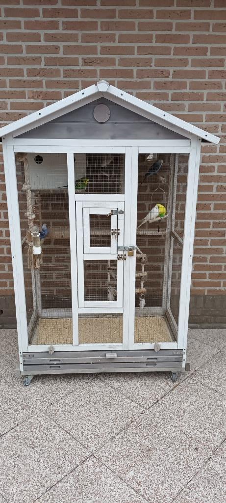 Voilere met grasparkieten, Dieren en Toebehoren, Vogels | Hokken en Kooien, Gebruikt, Vogelkooi, Hout, Ophalen