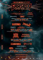 2 Tickets Graspop GMM zondag 23-06-2024, Tickets en Kaartjes, Evenementen en Festivals, Twee personen