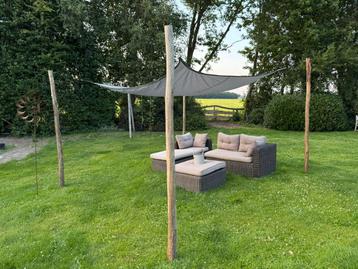 Prachtige natuurlijke tarp paal beschikbaar voor biedingen