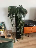 Canton 490 GLE speakers, Audio, Tv en Foto, Luidsprekers, Zo goed als nieuw, 120 watt of meer, Front, Rear of Stereo speakers