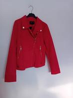 Rode Suede Jasje Dames XL - Nieuw!, N.v.t., Nieuw, Ophalen of Verzenden, Onbekend