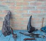 Aquariumhout kienhout mangrovehout, Ophalen, Plant(en), Steen of Hout