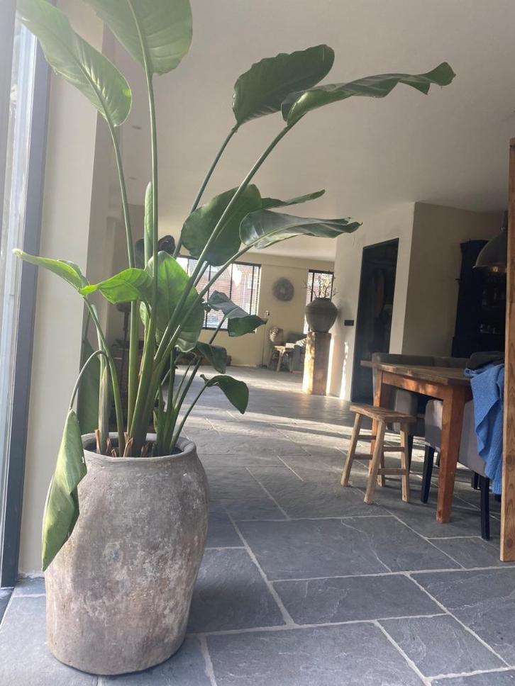 Castle Stone Chateau Gris Brun Antique - kasteelvloer, Doe-het-zelf en Verbouw, Tegels, Nieuw, Vloertegels, Overige materialen