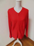 K77 FRANK WALDER apart vest rood maat 44, Kleding | Dames, Maat 42/44 (L), Ophalen of Verzenden, Zo goed als nieuw, Frank Walder