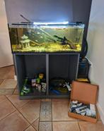 Groot aquarium met onderkast - 2x muskusschildpad en vissen, Dieren en Toebehoren, Ophalen, Zo goed als nieuw, Gevuld zoetwateraquarium