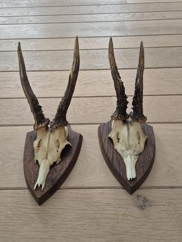 2 Mooie Ree Geweien samen € 19 Mancave Jacht Landelijk c31 beschikbaar voor biedingen