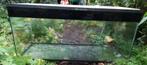 Aquarium 1 meter  40 cm geschikt als hamster kooi, Dieren en Toebehoren, Vissen | Aquaria en Toebehoren, Ophalen, Gebruikt, Leeg aquarium
