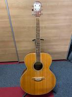 New York Pro Western Gitaar, Muziek en Instrumenten, Ophalen, Gebruikt, Western- of Steelstringgitaar