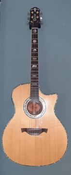 gitaar semi akoestisch, Ophalen of Verzenden, Zo goed als nieuw, Western- of Steelstringgitaar, Met koffer