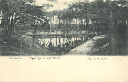 (387-166-033) Nunspeet Vijvertje in het Bosch, Verzamelen, Ansichtkaarten | Nederland, Gelderland, Verzenden