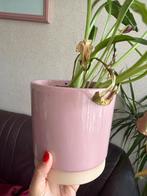 Roze Bloempot, Ophalen, Rond, Binnen, Zo goed als nieuw