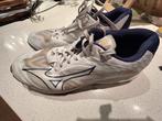Mizuno volleybalschoenen maat 44, Sport en Fitness, Volleybal, Ophalen of Verzenden, Gebruikt, Schoenen