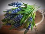 Muscari blauwe druifjes kunst, Ophalen of Verzenden, Nieuw, Binnen