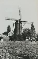NUTH Windmolen 1972 molen, Ophalen of Verzenden, 1960 tot 1980, Ongelopen, Limburg