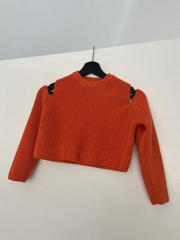 Zara meisjes trui beschikbaar voor biedingen