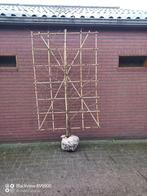 liquidambar styraciflua (Amberboom) rek vanaf de grond, Tuin en Terras, Planten | Bomen, Bloeit niet, Halfschaduw, 100 tot 250 cm