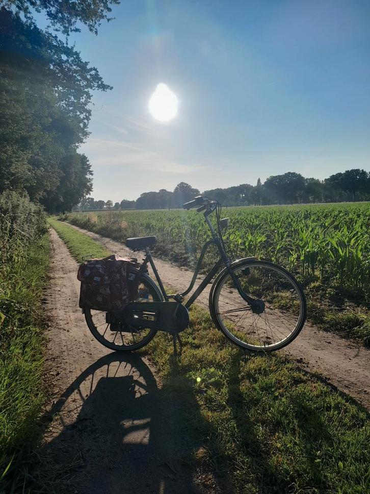spartamet blauw kenteken, Fietsen en Brommers, Snorfietsen en Snorscooters, Gebruikt, Ophalen of Verzenden
