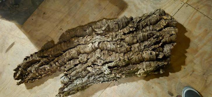 Kurk tubes en kurk takken, Hobby en Vrije tijd, Knutselen, Zo goed als nieuw, Materiaal, Ophalen of Verzenden