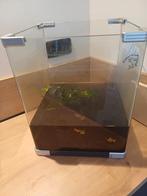 Aquarium superfish, Dieren en Toebehoren, Vissen | Aquaria en Toebehoren, Ophalen, Zo goed als nieuw, Leeg aquarium